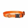 Filson Nylon Dog Collar